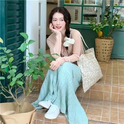 小狗吉米走私事件